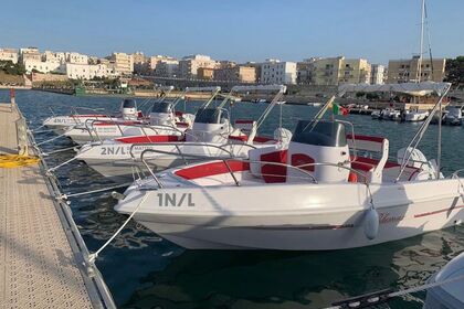 Miete Motorboot Blumax Open 19 Vieste