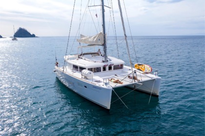 Rental Catamaran Catamaran Pura vida Playa Flamingo