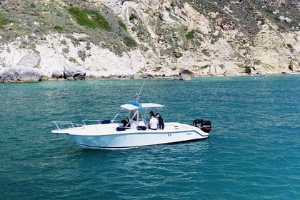 Noleggio Barca a motore Mako Marine Mako 282 Cagliari