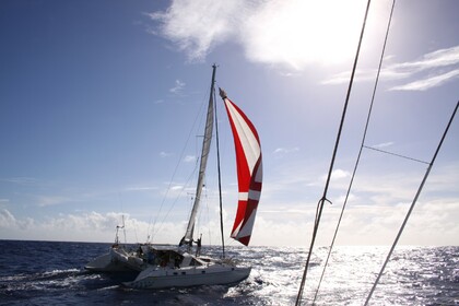 Rental Catamaran JEANTOT MARINE Privilège 51 Le Marin