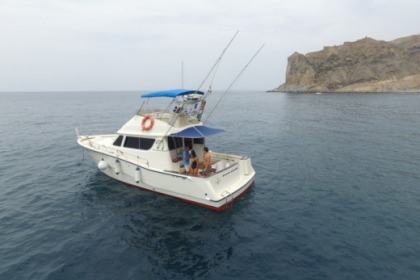 Charter Motorboat Rodman 1250 Mogán