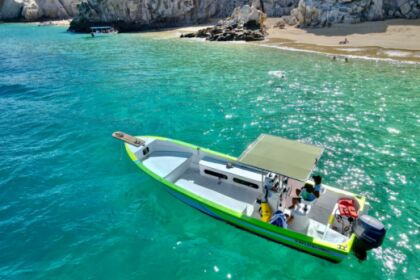 Alquiler Lancha Panga boat 2022 Cabo San Lucas