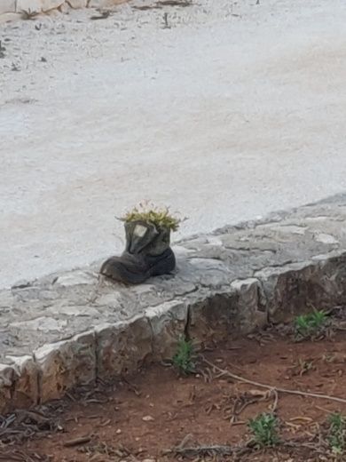 Тропеа Without license bma x199 alt tag text