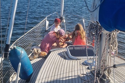 Miete Segelboot Navis 35 Rostock