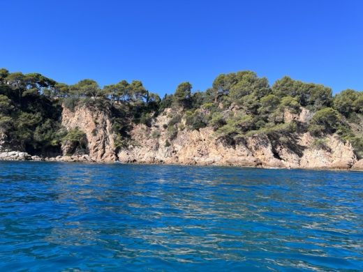 Blanes Without license Polyester Yacht Marion 450 alt tag text