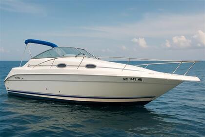 Miete Motorboot Sea Ray 250 Mandelieu-la-Napoule
