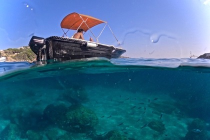 Charter Boat without licence  Marion 500 Classic Mallorca