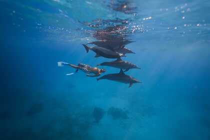 Charter Catamaran Bali - Catana Bali 4.0 Marsa Alam