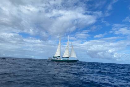 Miete Segelboot Southern Ocean Ocean60 Martinique