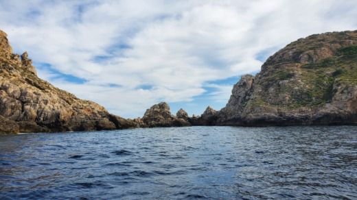 Port Adriano Without license BAYLINER ELEMENT 160 alt tag text