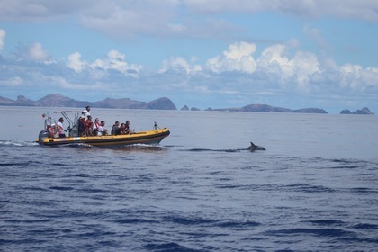 Hire RIB Searib's Vanguard Madeira