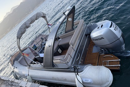 Czarter Ponton RIB Grginic Shark 23 Kotor