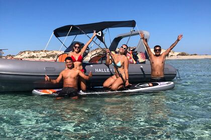 Rental RIB HALLEY 800 Ibiza Magna