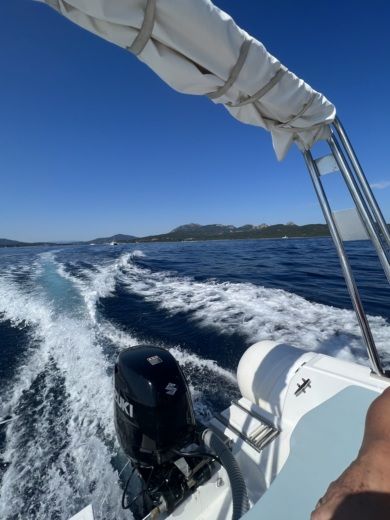 Portisco Without license Kardis Fox alt tag text