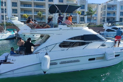Miete Motorboot Sealine 45 Cancún