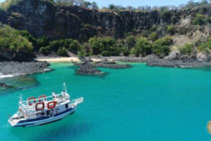 Aluguel Lancha Customizado Madeira Fernando de Noronha