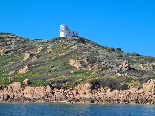 Αιάκειο Motorboat JEANNEAU CAP CAMARAT 7.5 alt tag text