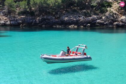 Hire RIB Zodilux RIB 500 40CV Pollença